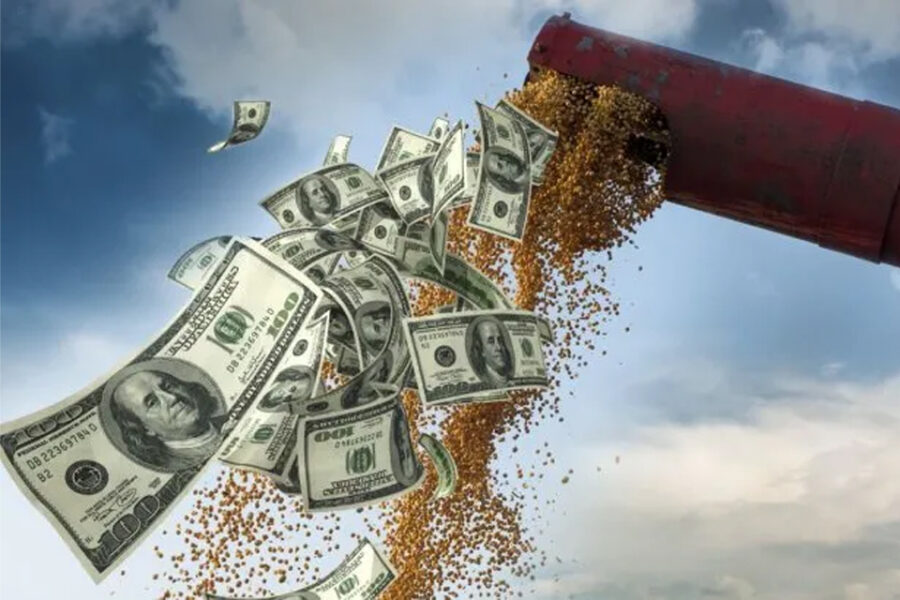 (Mención a Bahillo) Dólar soja: Agricultura celebró resultado y adelantó medidas