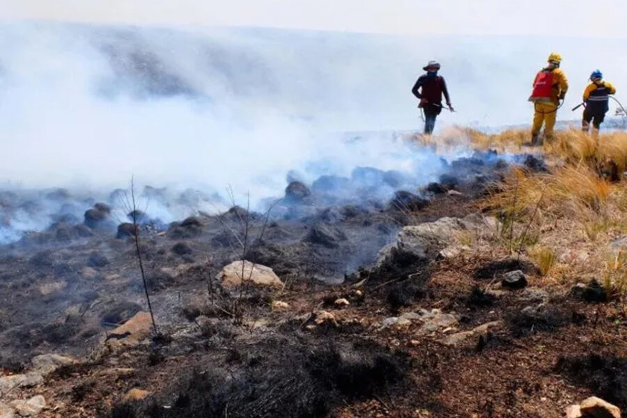 (Mención a Entre Ríos) Cuatro provincias registran focos activos de incendios forestales