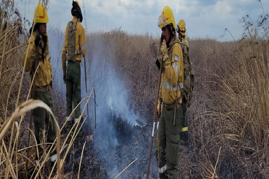 Entre Ríos apaga incendios en otras provincias
