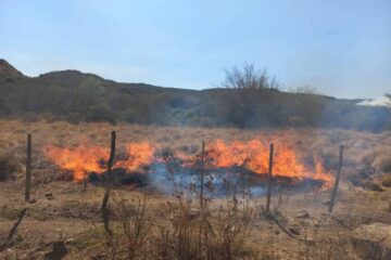(Mención a Entre Ríos) El fuego no para: cinco provincias registran incendios forestales activos
