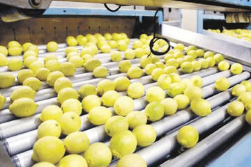 (Mención a Bahillo) Economías regionales: ya aportaron u$s8.000 millones (Gobierno busca potenciar al sector)