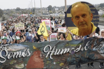 Un funcionario de Victoria llamó “soplones” a los ambientalistas