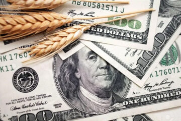 (Mención a Entre Ríos) Preocupante: por la sequía, se espera una fuerte caída en el ingreso de divisas de diciembre y enero