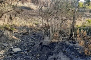 El crudo relato de los que viven en medio de las llamas del Delta