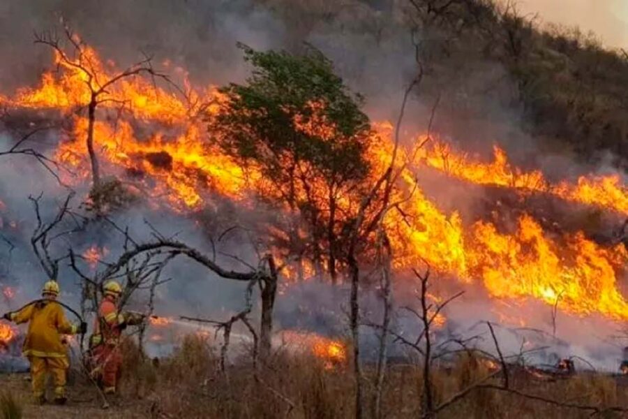 (Mención a Entre Ríos) Cuatro provincias registraban hoy focos de incendios forestales activos