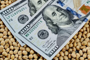 (Mención a empresa entrerriana) La Aduana descubrió una millonaria evasión de la mayor exportadora de expeller de soja