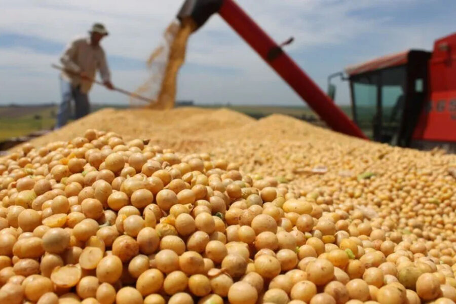 (Mención a Bahillo) Divisas del agro: proyectan liquidación menor a u$s3.000 millones en el último bimestre