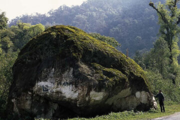 (Mención a Entre Ríos) Qué es un bioma y qué ejemplos hay en nuestro país