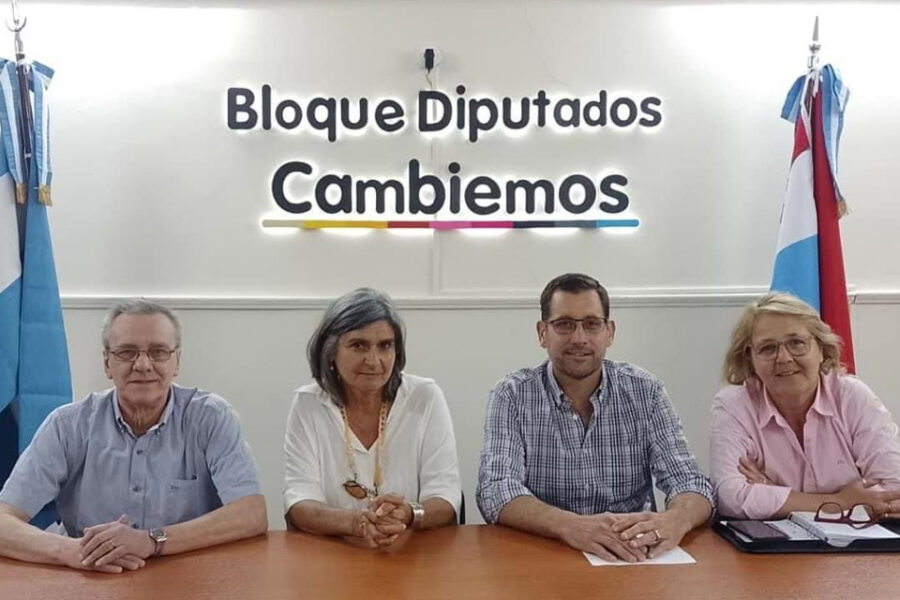 Radicales frigeristas armaron un bloque aparte en Diputados