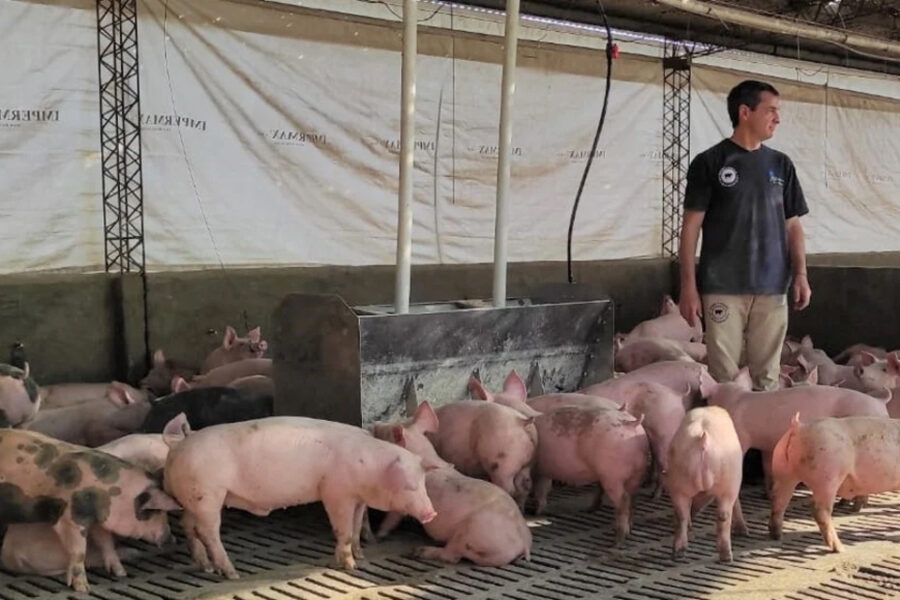 (Mención a ciudad entrerriana) De la granja porcina a la carnicería propia: la familia que apostó a integrar la producción
