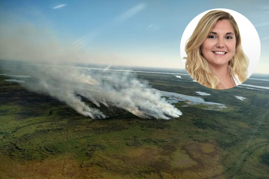 Propone que paguen los dueños de los campos