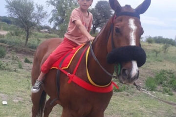 Entre Ríos: advierten que por errores del Consejo del Menor ya murieron dos chicos