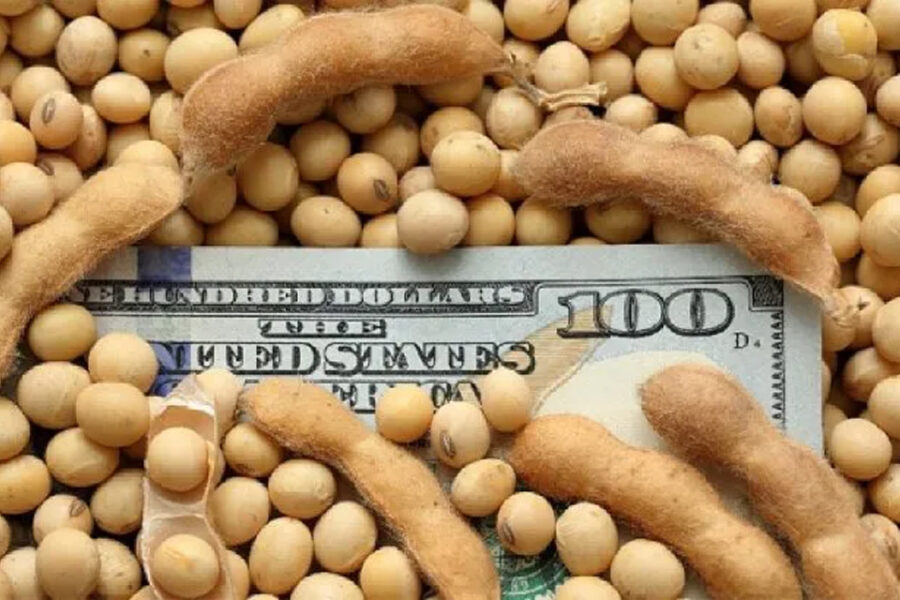 (Mención a Bahillo) Dólar soja II: oficializan la medida que busca recaudar u$s3000 millones