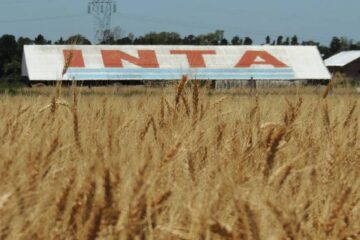 (Mención a Entre Ríos) Tras dos días de paro, continúan los reclamos salariales en el INTA
