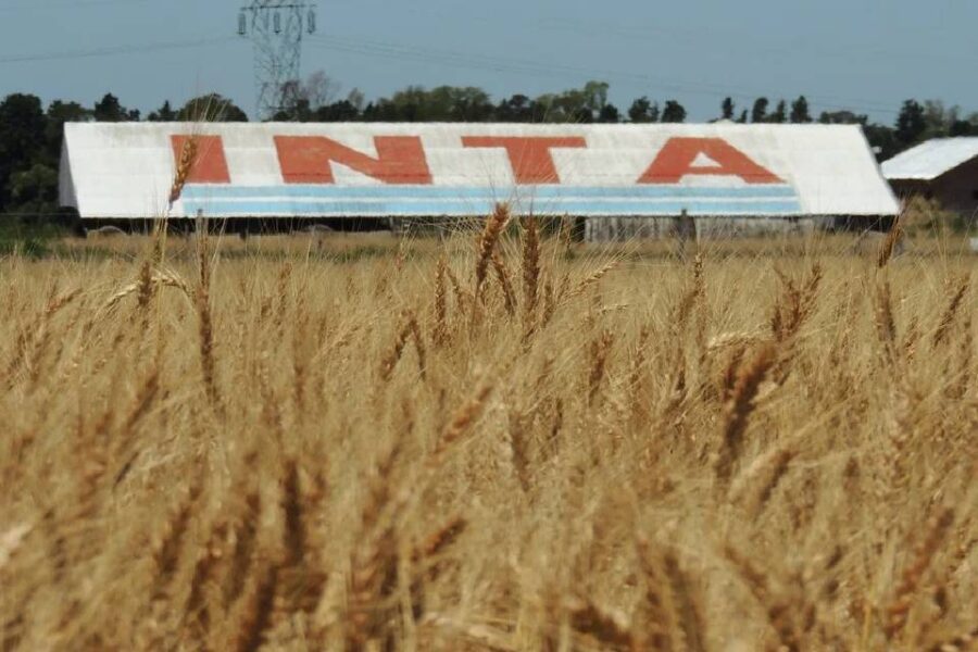 (Mención a Entre Ríos) Tras dos días de paro, continúan los reclamos salariales en el INTA