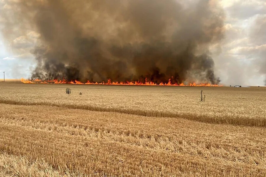 Ante la llegada del verano, Entre Ríos prohibió las quemas de campos hasta febrero