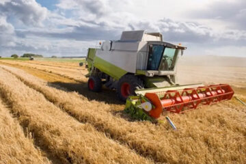 (Mención a Entre Ríos) Por la sequía, se perderán US$ 2.000 millones en exportaciones de trigo y cebada