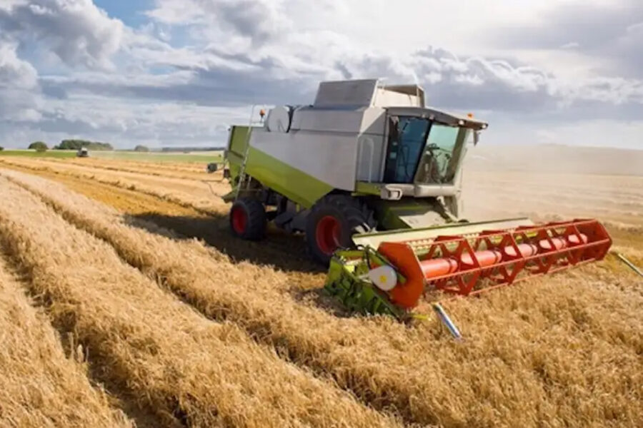 (Mención a Entre Ríos) Por la sequía, se perderán US$ 2.000 millones en exportaciones de trigo y cebada