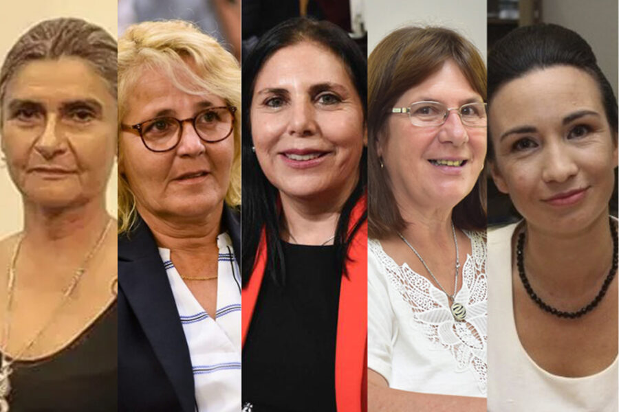 ¿En qué andan las candidatas a vice de Frigerio?