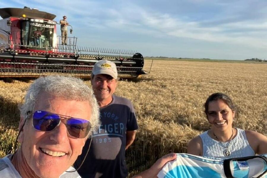 (Mención a Entre Ríos) Excepciones a una campaña de trigo para olvidar