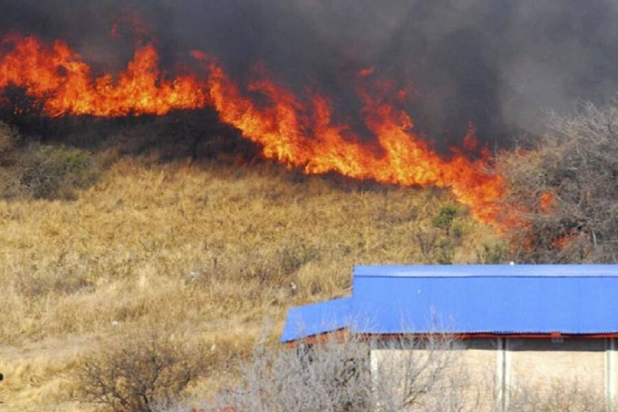 (Mención a Entre Ríos) Incendios forestales: cuatro provincias comenzaron el año con focos activos