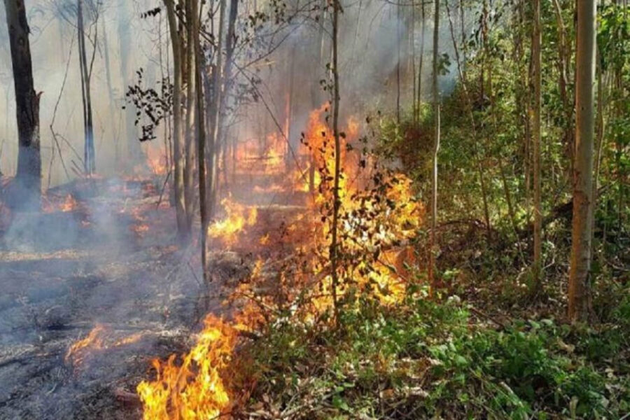 Prorrogan la emergencia ambiental en Entre Ríos