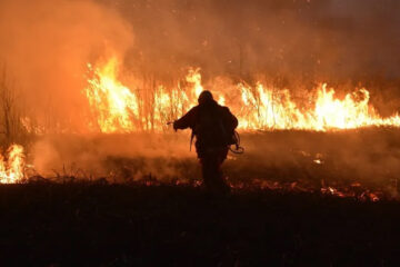 (Mención a Entre Ríos) Cinco provincias registran focos activos de incendios forestales