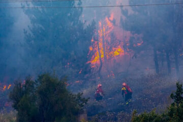 Incendios: Buenos Aires, Entre Ríos, Chubut, La Pampa, Santa Fe y Jujuy, con focos activos