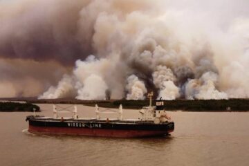 (Mención a Entre Ríos) Sequía, incendios y mortandad de peces: hasta dónde llegará el impacto de las altas temperaturas