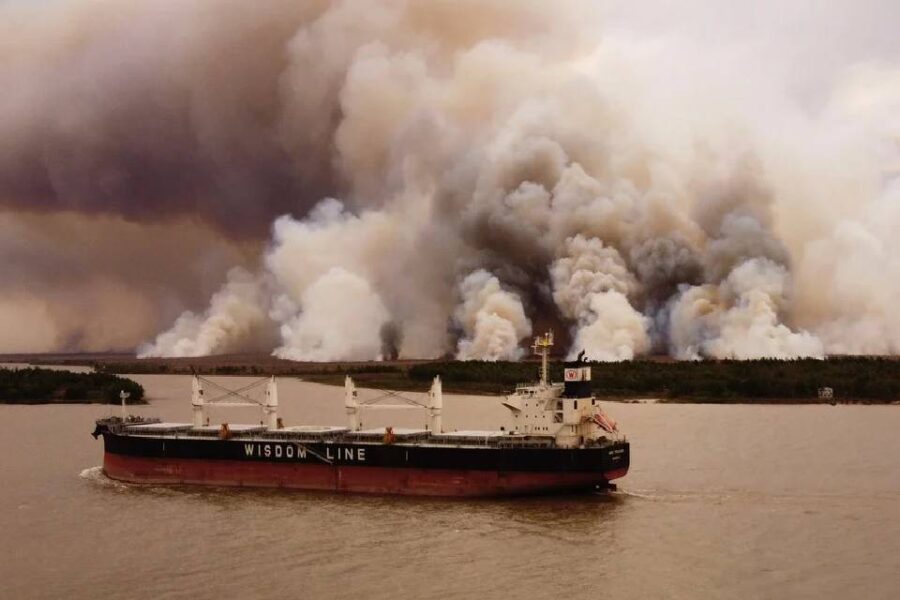 (Mención a Entre Ríos) Sequía, incendios y mortandad de peces: hasta dónde llegará el impacto de las altas temperaturas