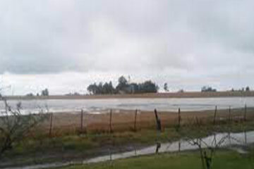 (Mención a Entre Ríos) Llueve en varias regiones productivas y en el campo hablan de “un gran alivio en medio de la sequía”