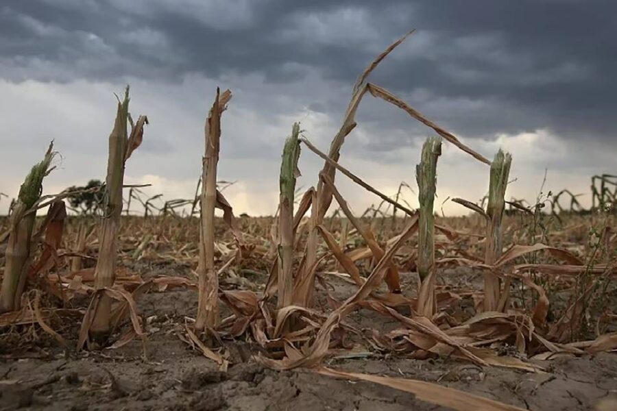 (Mención a localidad entrerriana) El impacto de la sequía: 5 claves para entender cómo y cuánto golpeará a la economía argentina
