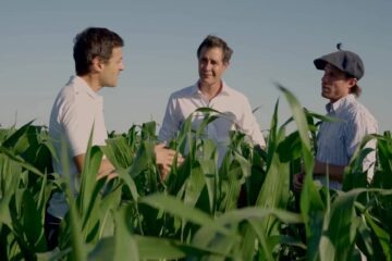 (Mención a Entre Ríos) El maíz crece gracias a un servicio de agricultura de precisión en nutrición