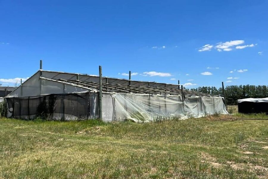 (Mención a Entre Ríos) En tres meses perdió cinco veces los techos de sus viveros citrícolas y la sequía redujo en un 40{10b083c464b21a2e5b96ab7d1950c6efda5949816d8d4b699d6508628a11a647} su producción