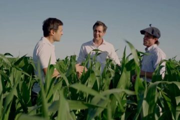 Agricultura de precisión: cómo es el proceso que facilita la producción de maíz en Entre Ríos