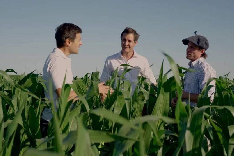 Agricultura de precisión: cómo es el proceso que facilita la producción de maíz en Entre Ríos