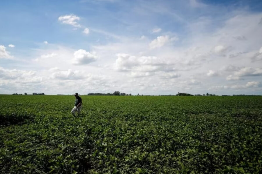(Mención a Bahillo) El Gobierno asegura que en los últimos 3 años al campo le fue mejor que durante el macrismo