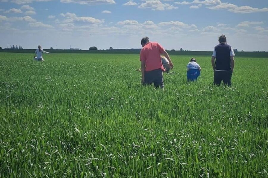 (Mención a Entre Ríos) Dieron un golpe de timón a la empresa familiar con visión de negocio, tecnología y datos