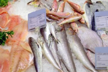 (Mención a Entre Rios) Prohíben el consumo de sábalo por estar contaminado con niveles récord de agrotóxicos