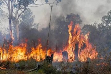 Incendios activos afectan a Corrientes, Entre Ríos y Chubut