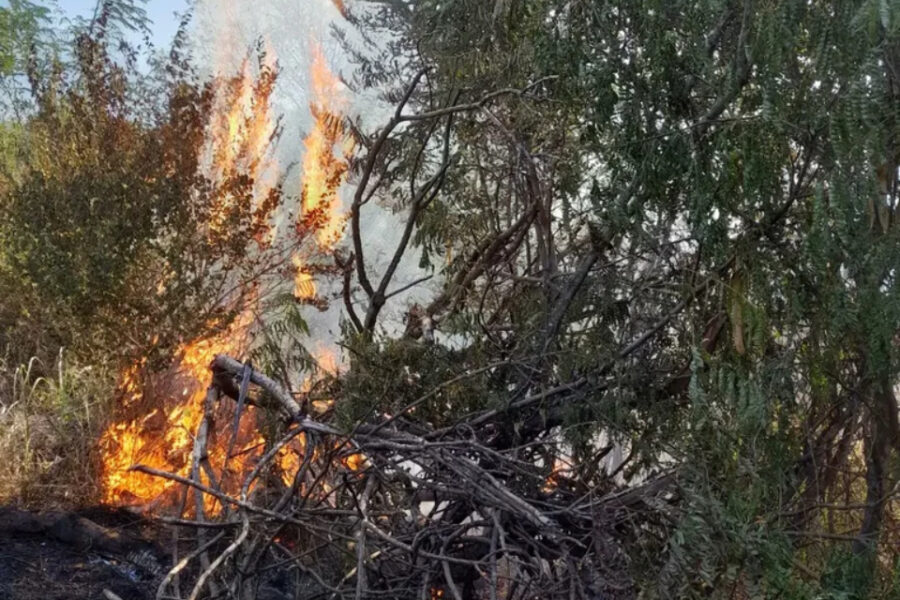 (Mención a Entre Ríos) Controlaron los incendios en Buenos Aires y Corrientes, pero otras tres provincias registran focos activos
