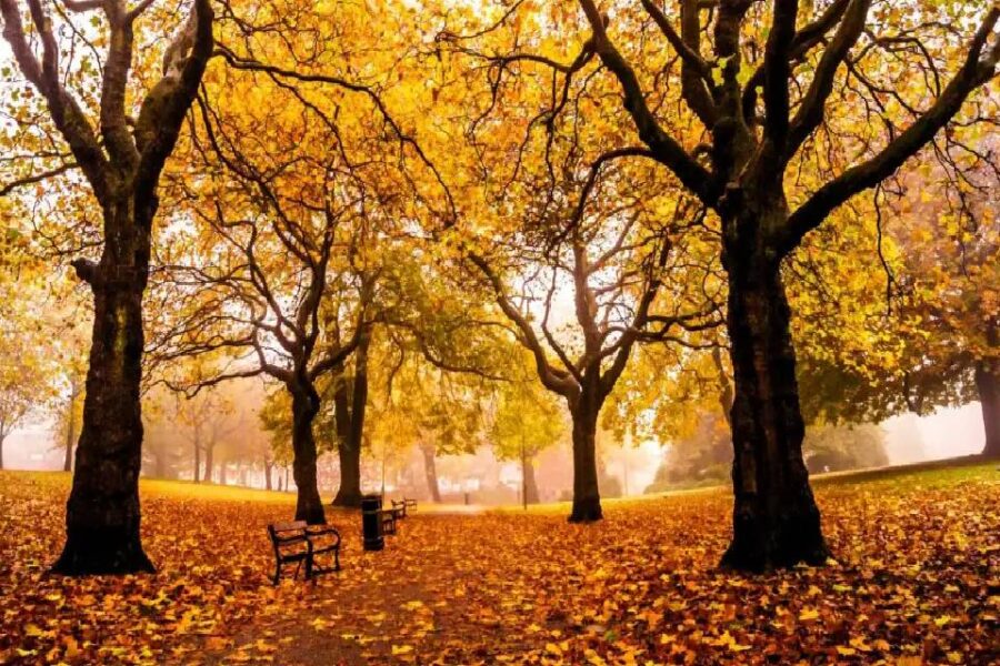 (Mención a Entre Ríos) El Servicio Meteorológico Nacional alertó que el otoño tendrá temperaturas por encima de lo normal