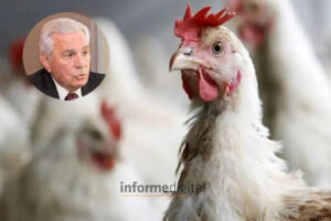 Motta: “El gran desafío es recuperar China”