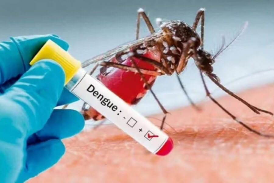 (Mención a Entre Ríos) Alerta dengue: siguen en alza los casos y llaman a eliminar los criaderos del mosquito transmisor