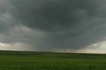 (Mención a Entre Ríos) La Bolsa de Rosario aseguró que las últimas lluvias en la zona pampeana marcaron el final de la sequía histórica