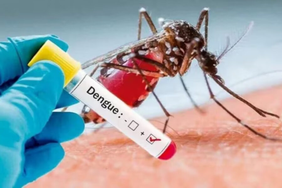 (Mención a Entre Ríos) Triste récord del dengue en Argentina: más de 41.000 casos y 32 muertos