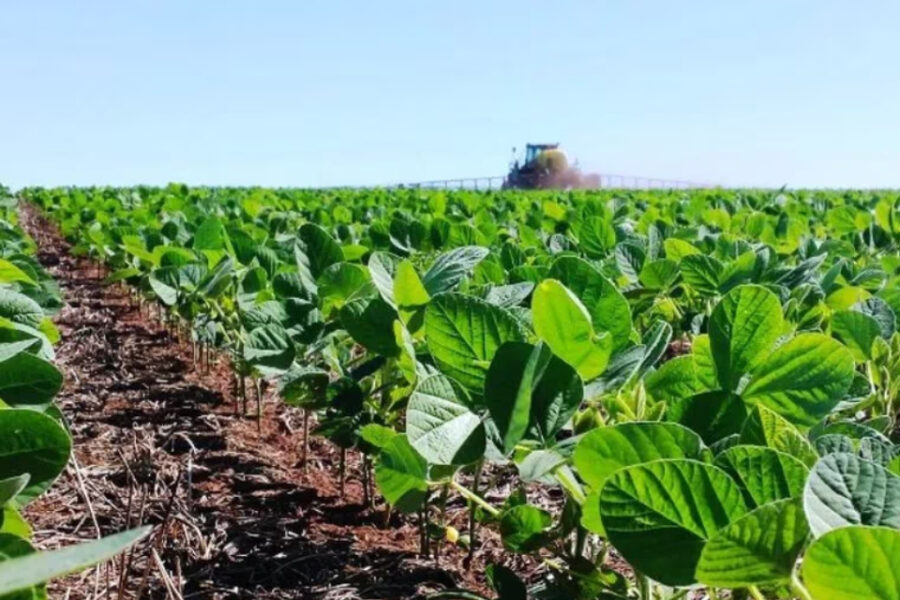 (Mención a dirigente entrerriano) El campo, en su laberinto: cómo avanzará el sector entre la crisis cambiaria, la sequía y el año electoral