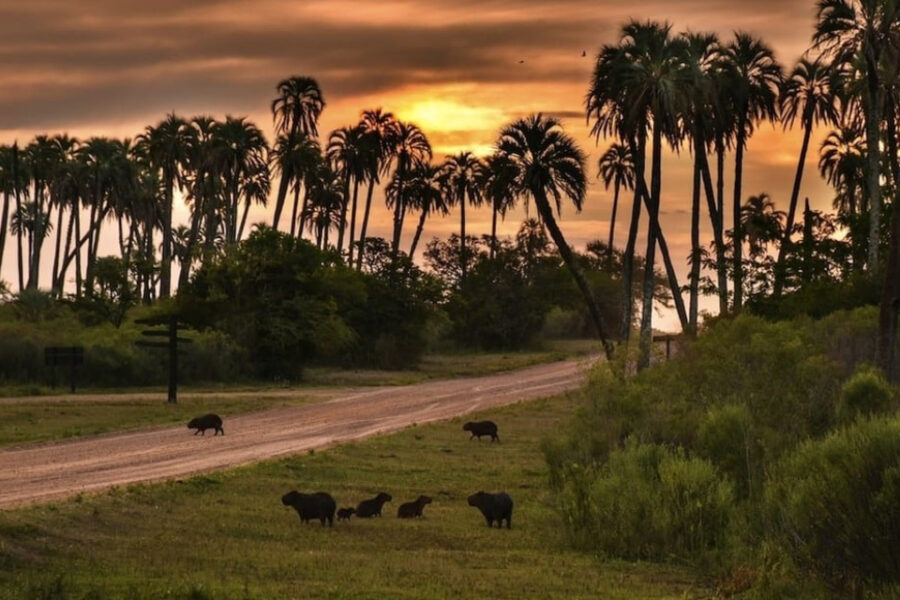 Los atractivos de Entre Ríos en 9 escapadas