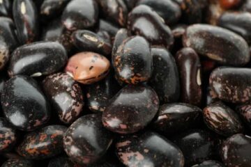 (Mención a funcionario entrerriano) Aduana descubrió una triangulación para exportar porotos negros subfacturados