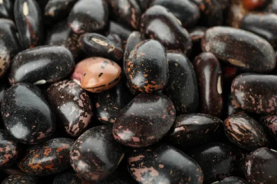 (Mención a funcionario entrerriano) Aduana descubrió una triangulación para exportar porotos negros subfacturados